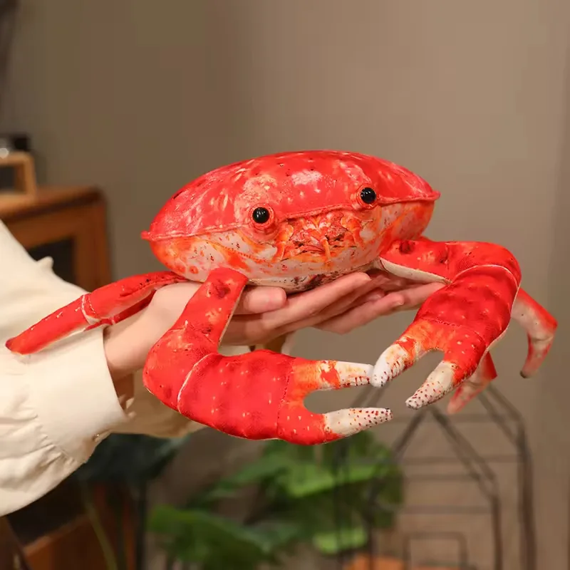 Peluche de cangrejo sostenido en la mano con cuerpo redondeado de algodon PP, estampado rojo realista y pinzas grandes